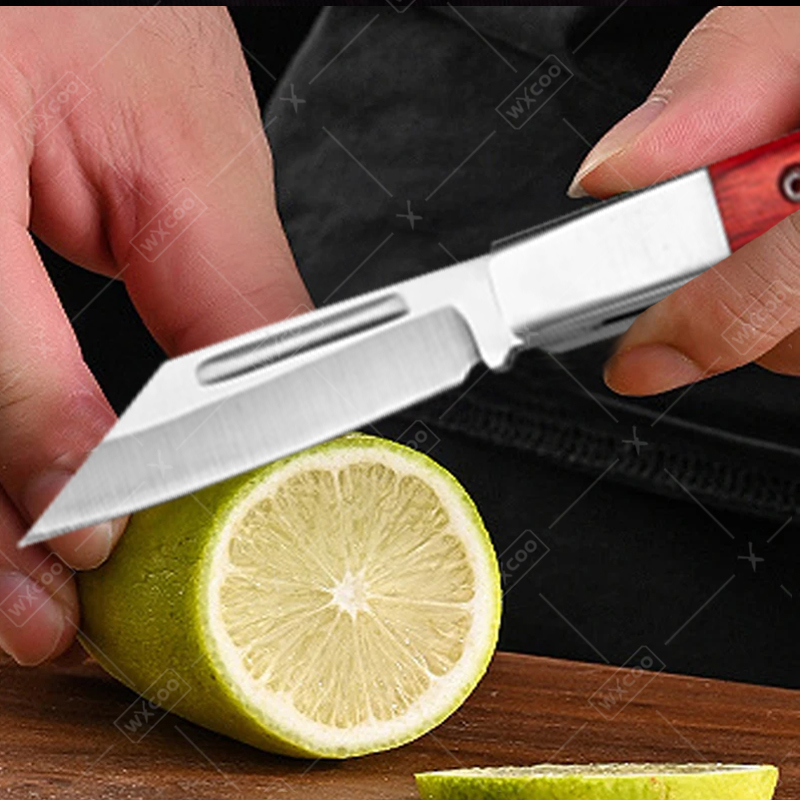 Stainless Steel Pocket Knife R - Kitchen Gadgets That Make Life Easier 评论和价格